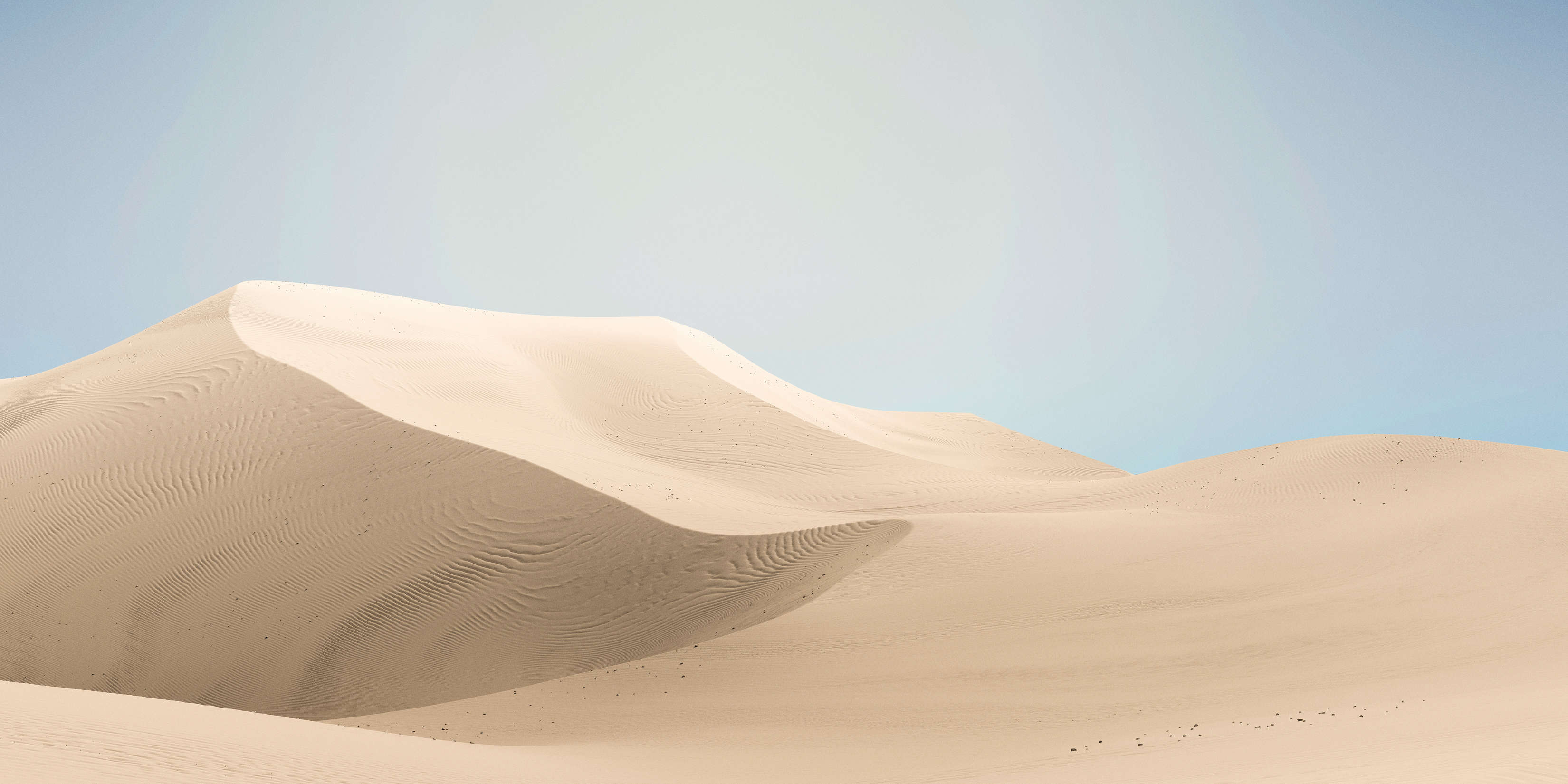 walls by patel Fototapete Walls by Patel 4 walls by patel Fototapete Walls by Patel 4