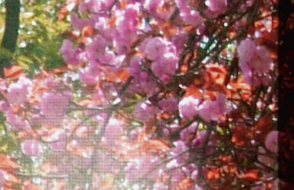 walls by patel Photo wallpaper Walls by Patel 2