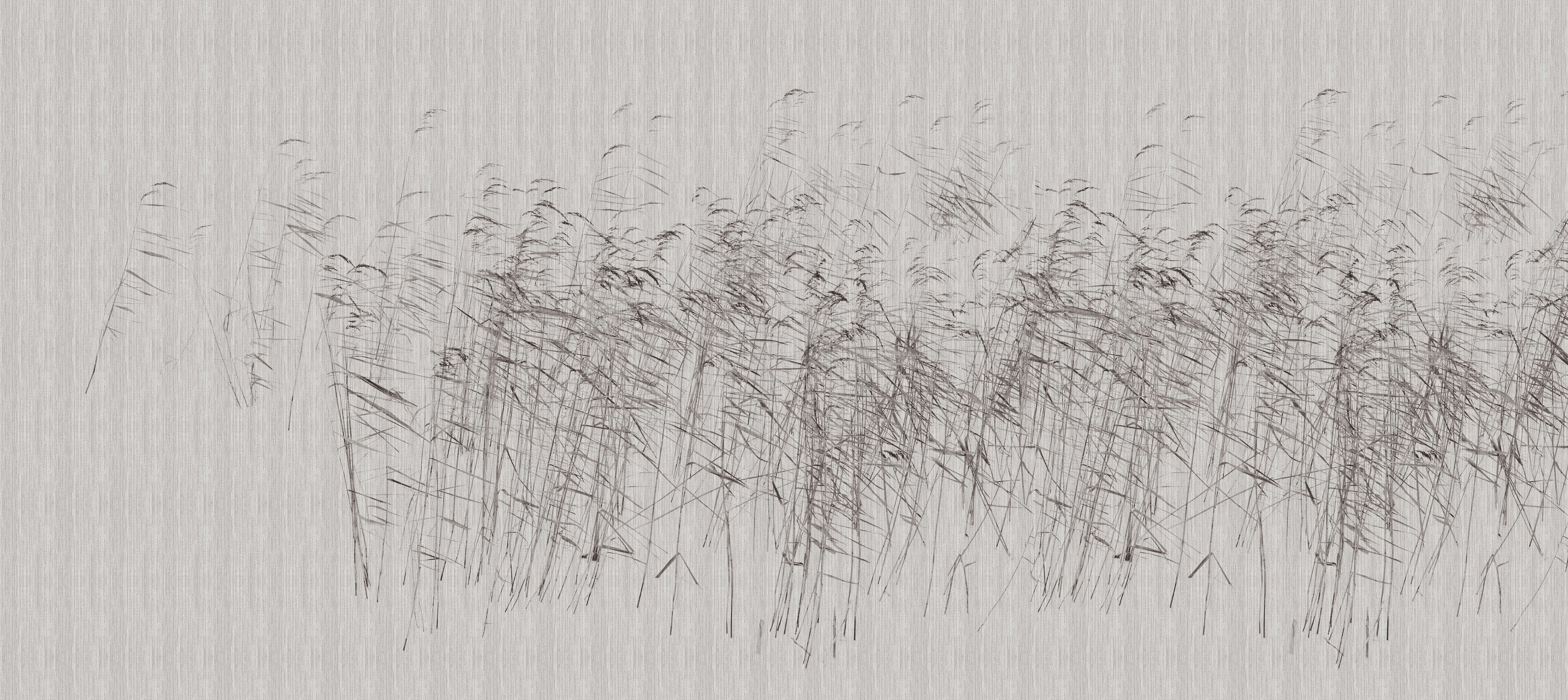 walls by patel Photo wallpaper Walls by Patel 3
