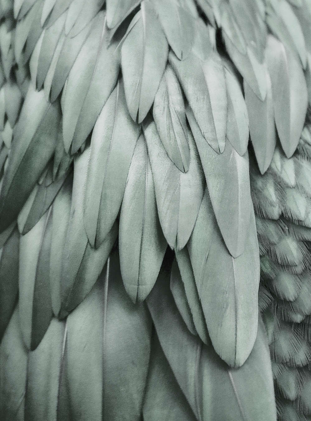 livingwalls Фотообои ARTist
