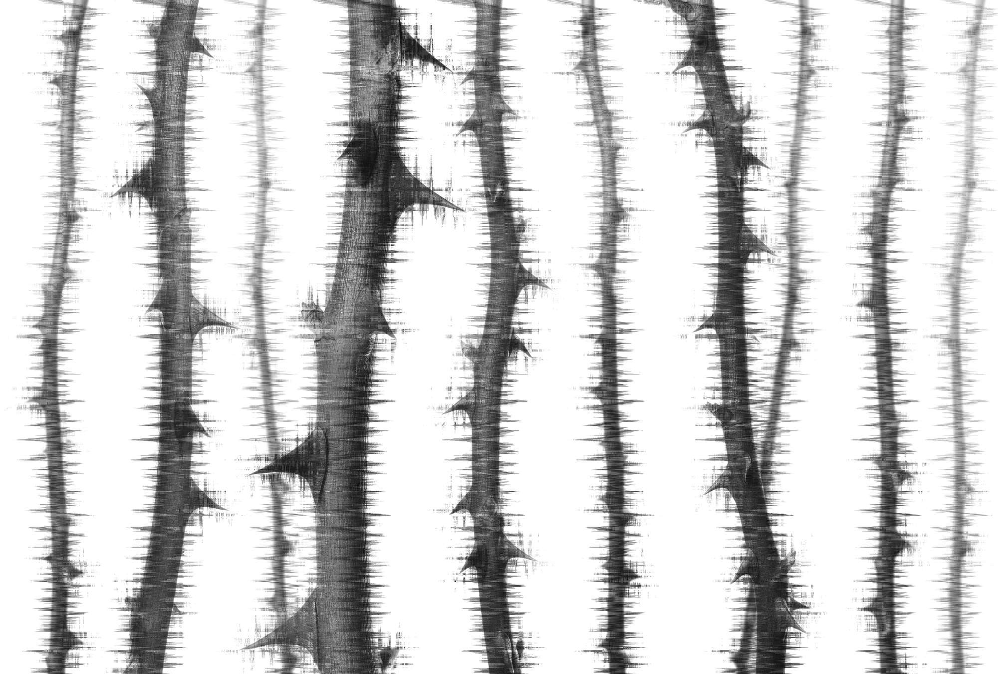 Architects Paper Fototapete Atelier 47 Architects Paper Fototapete Atelier 47