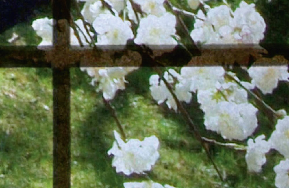 walls by patel Photo wallpaper Walls by Patel 2
