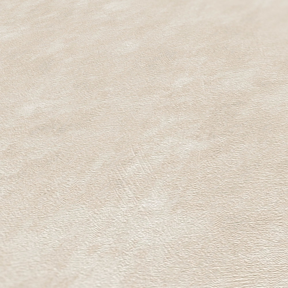 A.S. Création Wallpaper Terra 2022