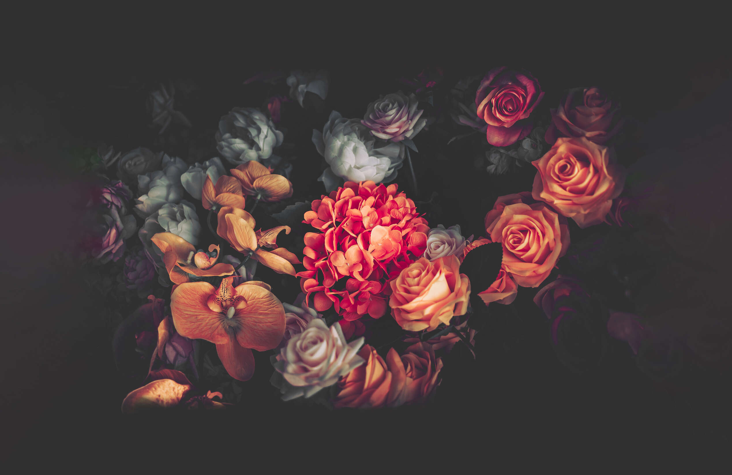 livingwalls Photo wallpaper Designwalls
