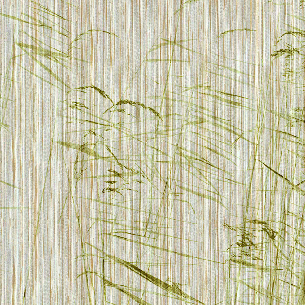 walls by patel Photo wallpaper Walls by Patel 3