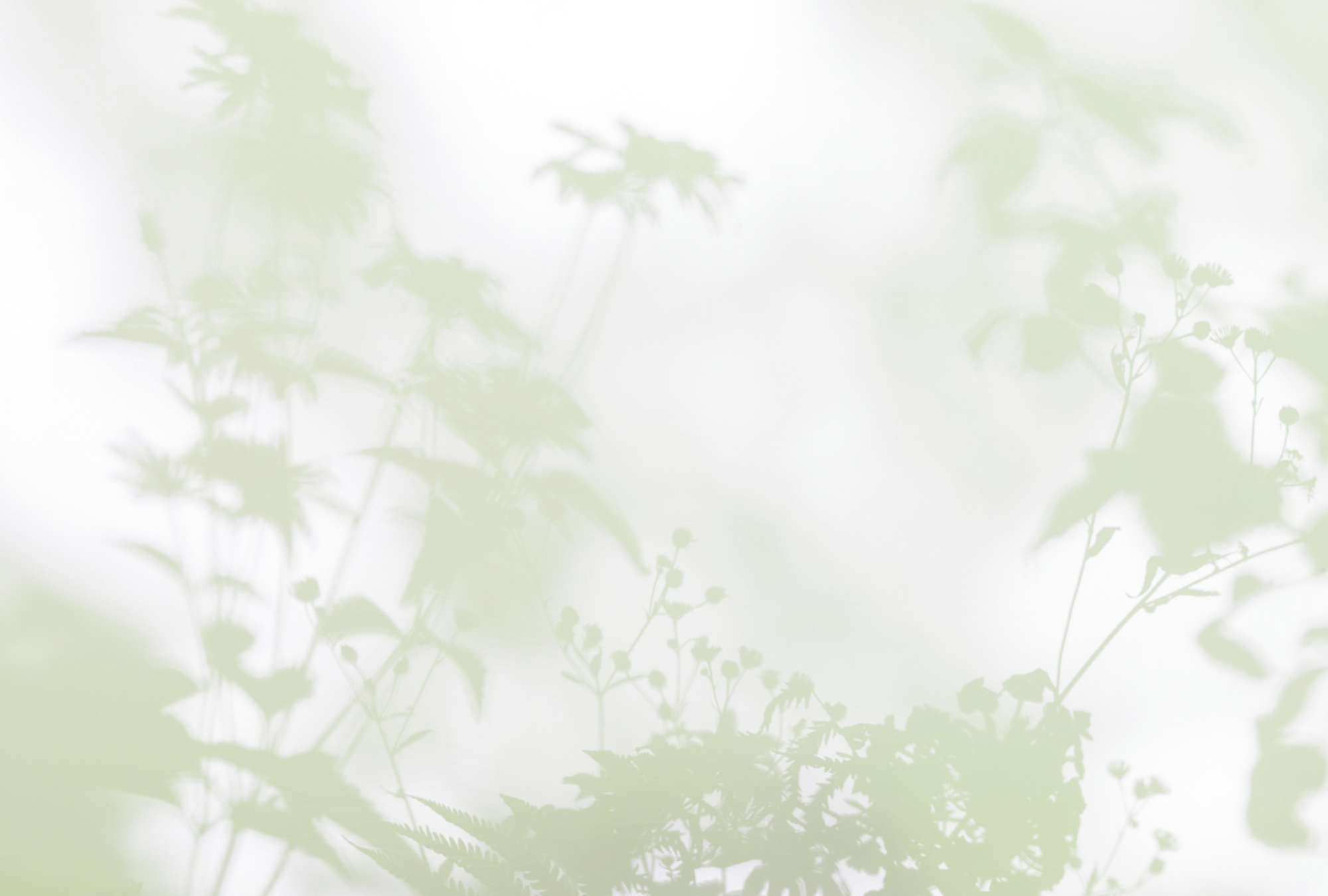 walls by patel Photo wallpaper Walls by Patel 3
