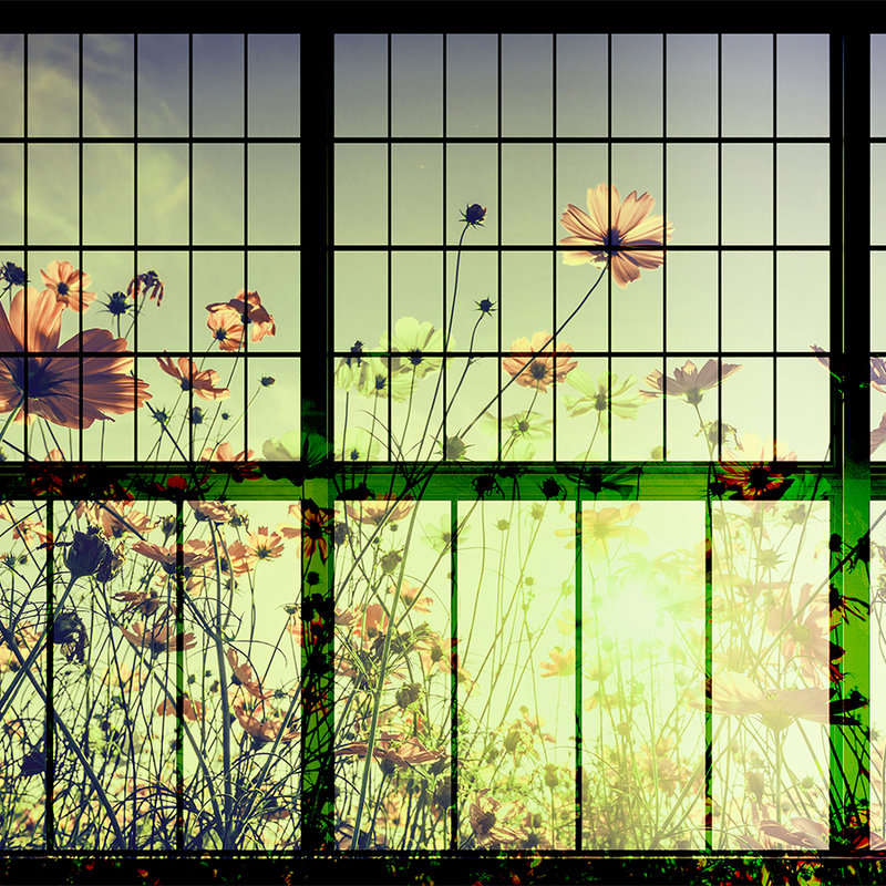 walls by patel Photo wallpaper Walls by Patel 2