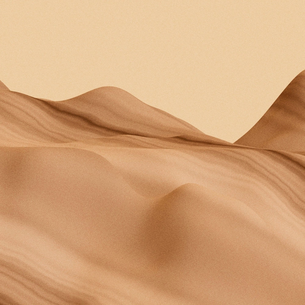 walls by patel Fototapete Walls by Patel 4 walls by patel Fototapete Walls by Patel 4