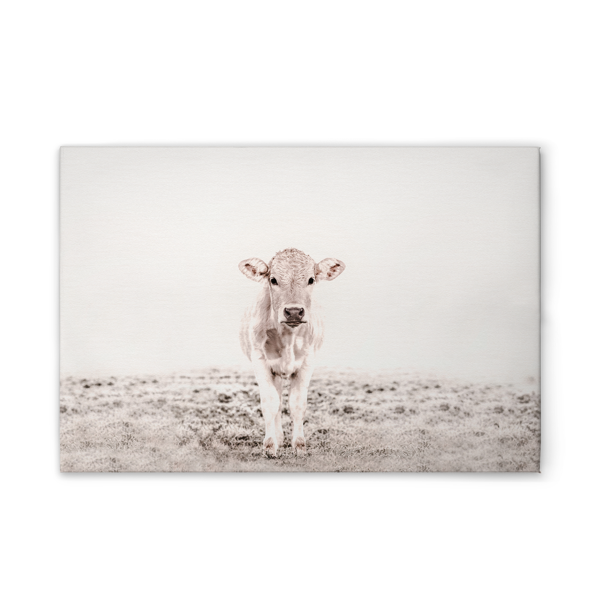 livingwalls tableau sur toile ARTist
