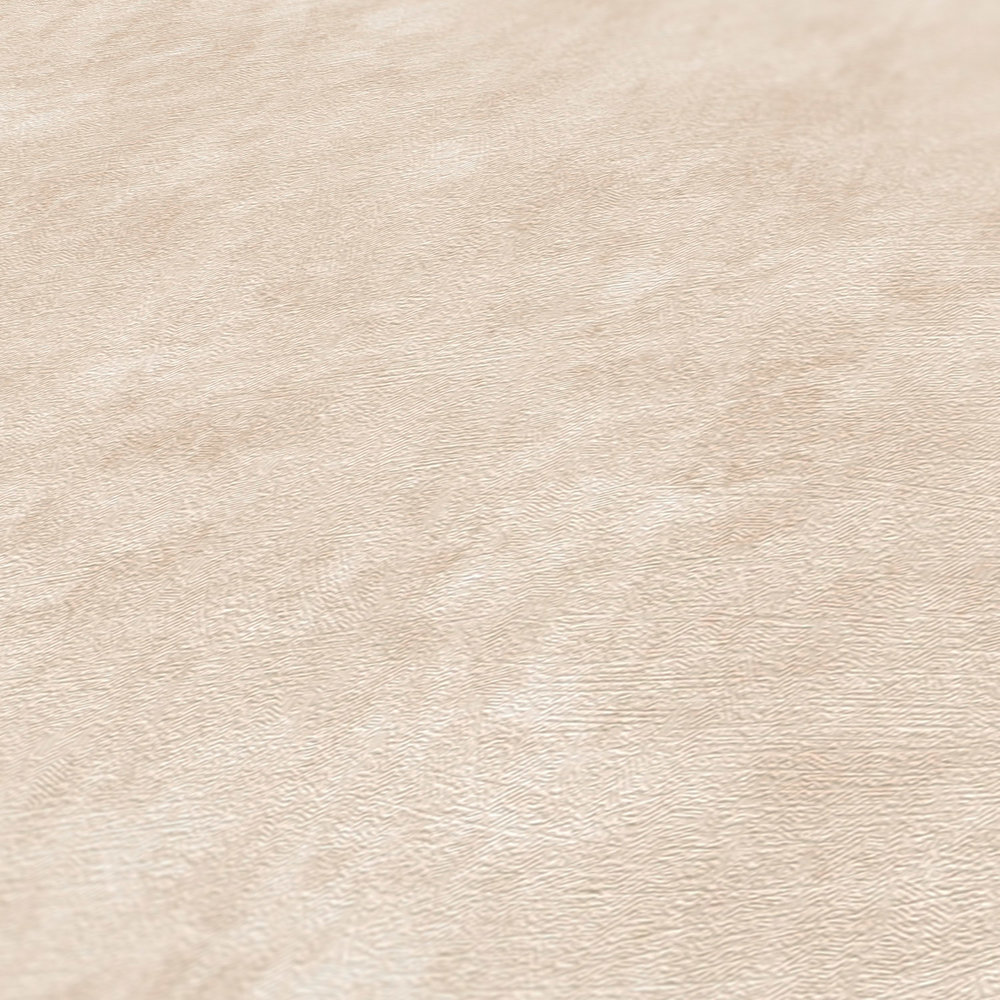 A.S. Création Wallpaper Terra 2022