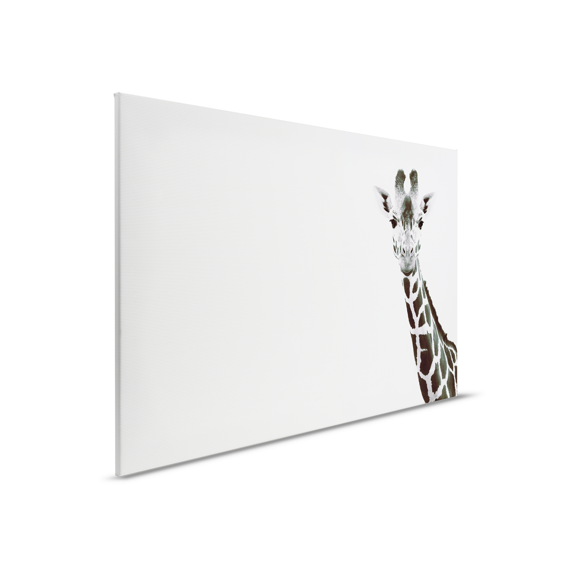 livingwalls tableau sur toile ARTist