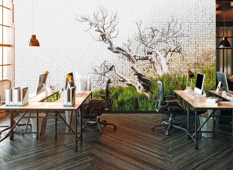 Architects Paper Fototapete Atelier 47 Architects Paper Fototapete Atelier 47