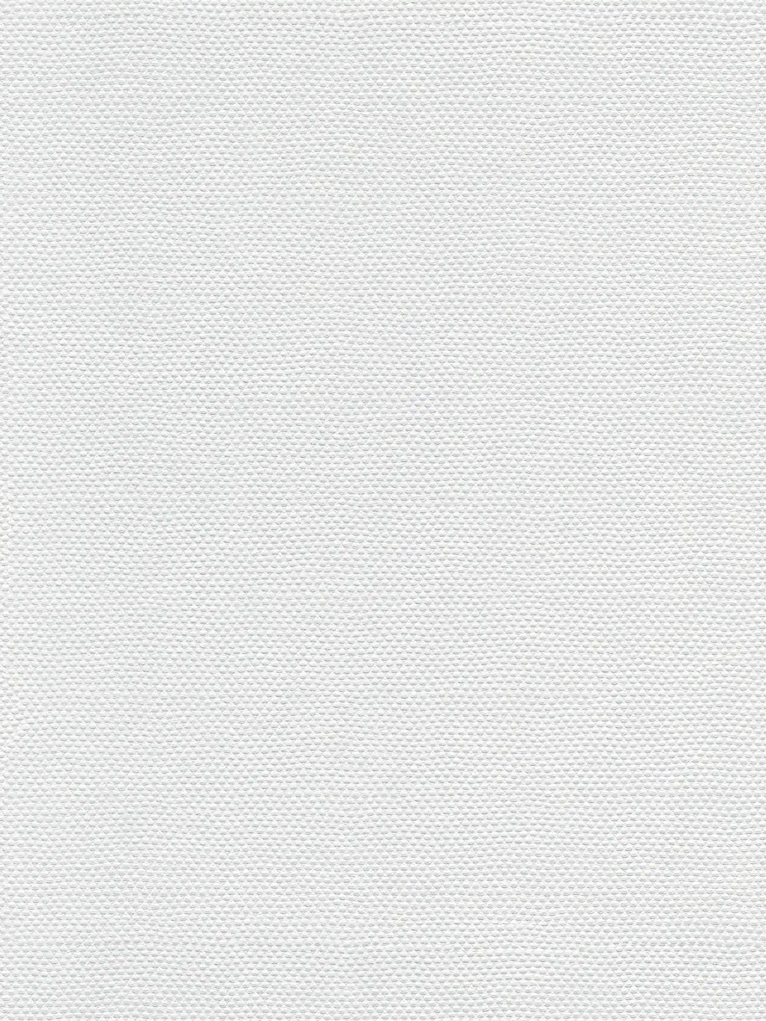A.S. Création papier peint Meistervlies Create