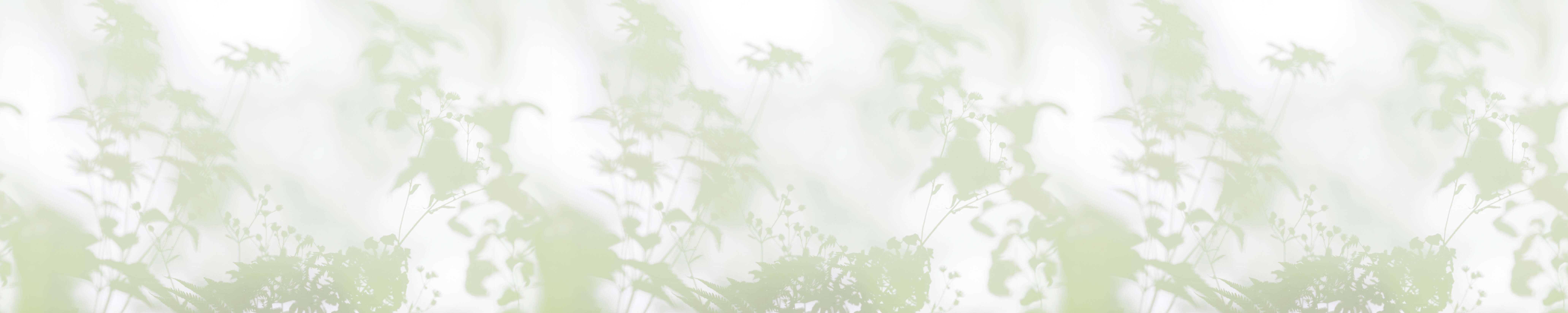 walls by patel Photo wallpaper Walls by Patel 3