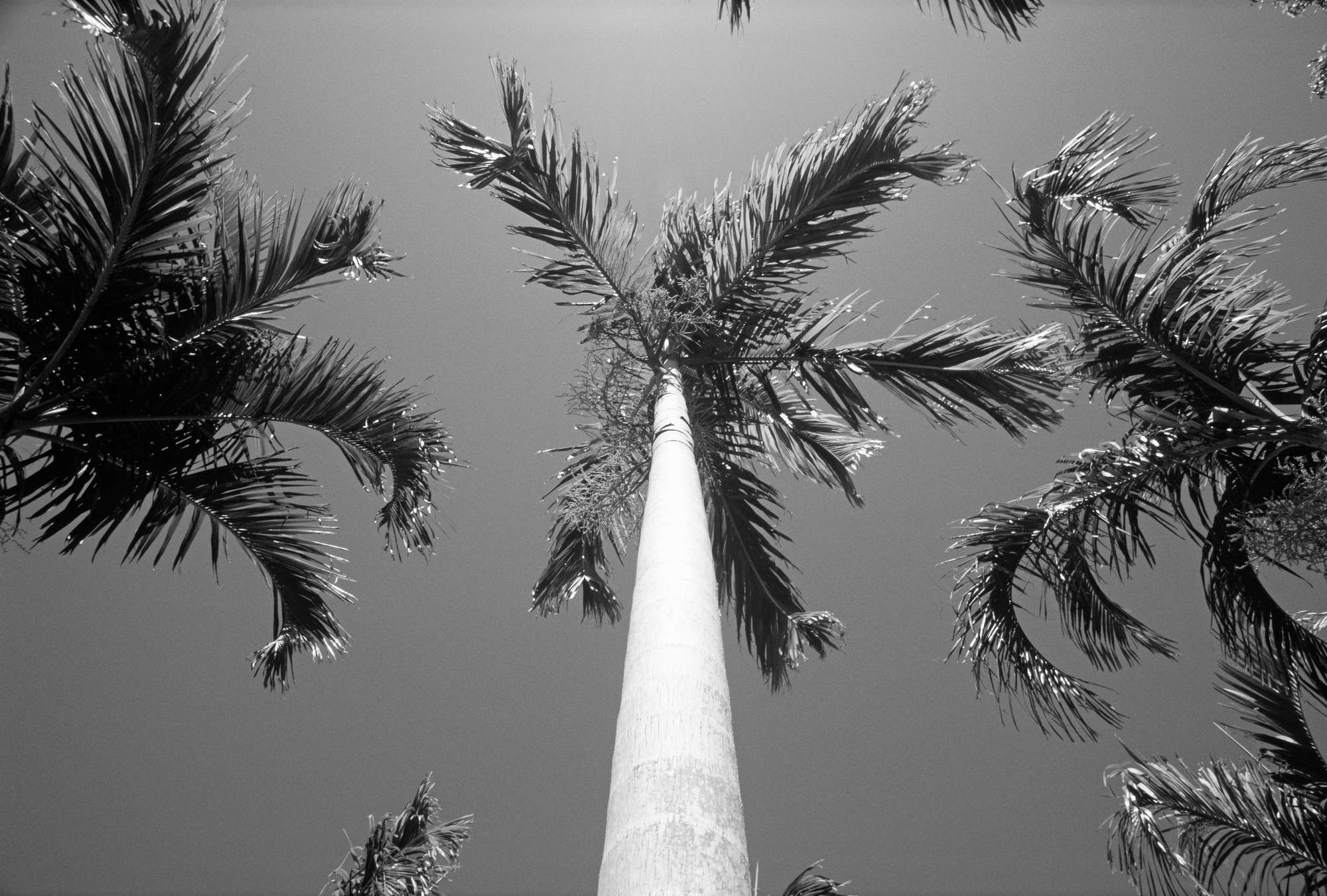 Architects Paper Fototapete AP Digital