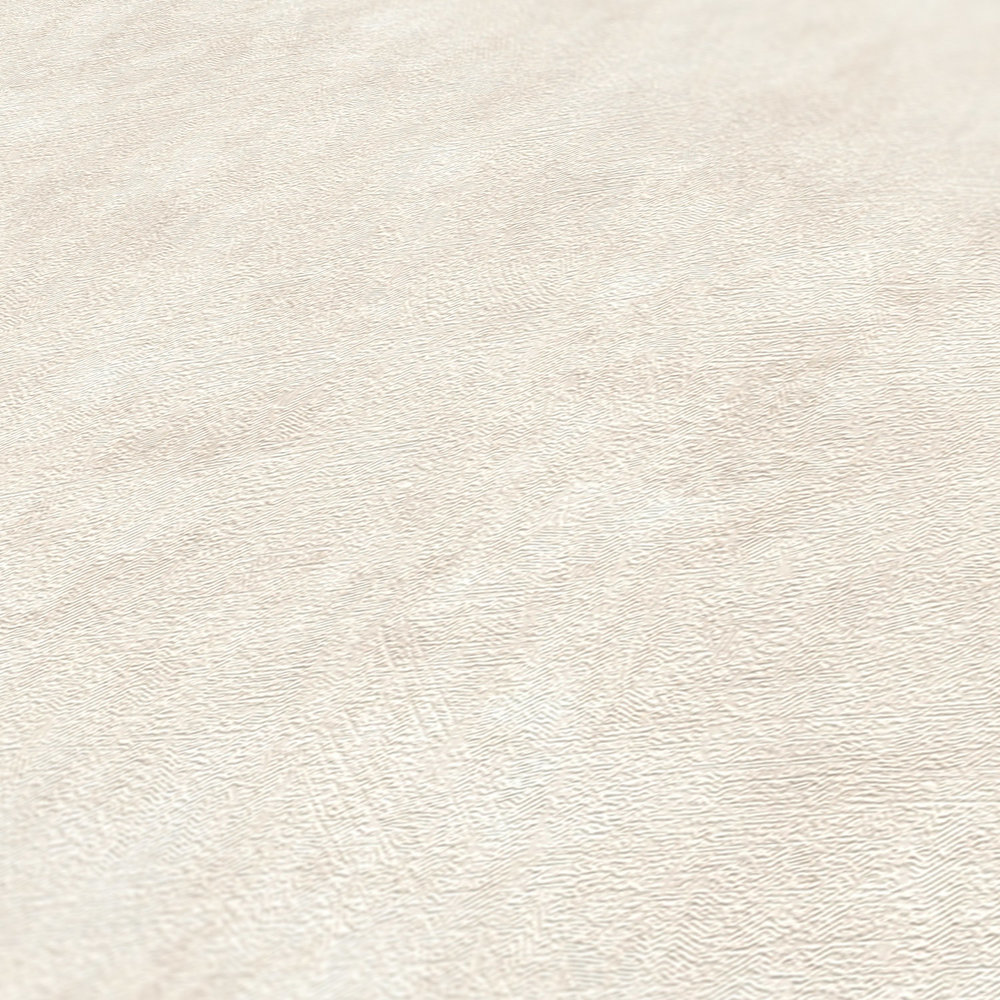 A.S. Création Wallpaper Terra 2022