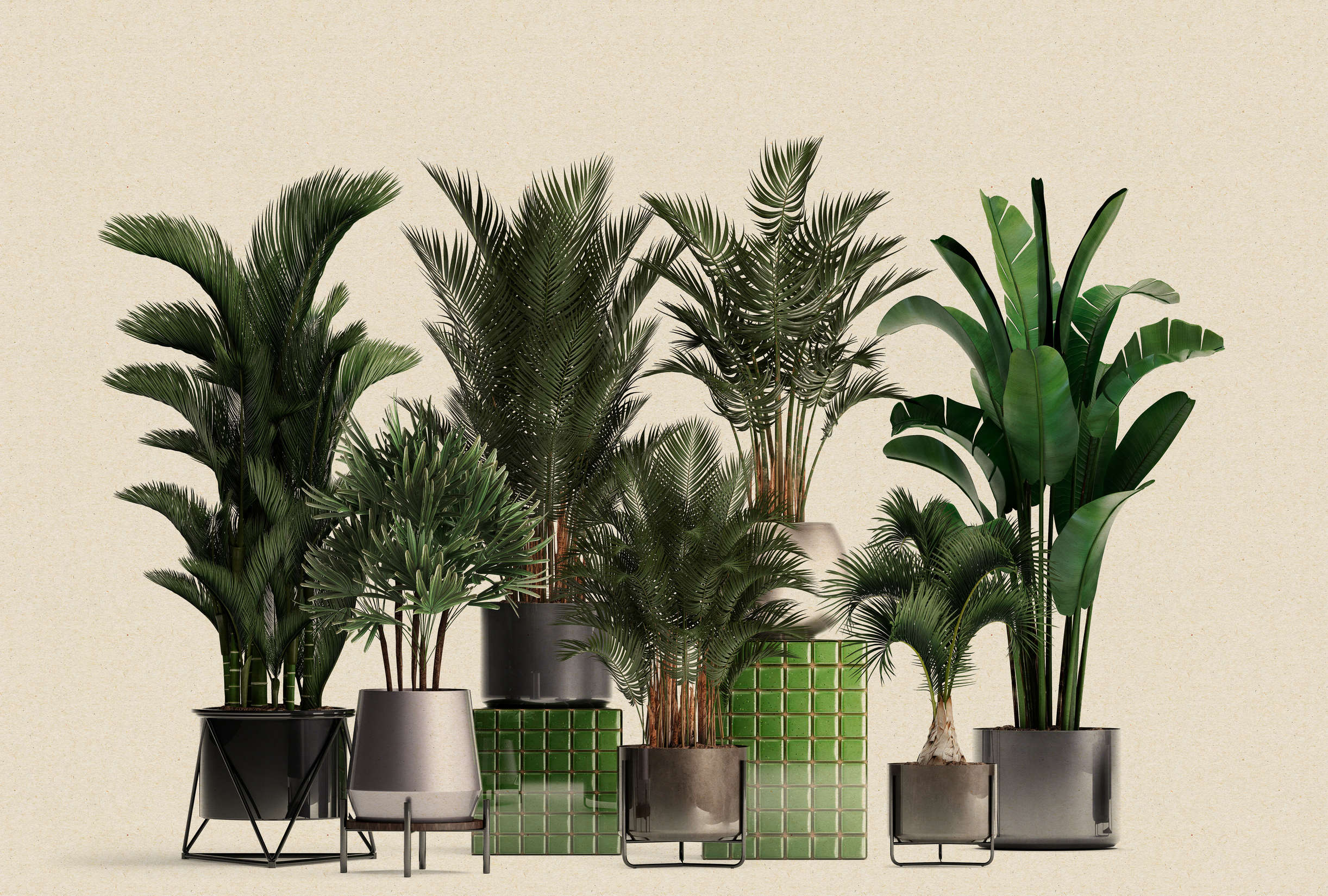 walls by patel Photo wallpaper Walls by Patel 3