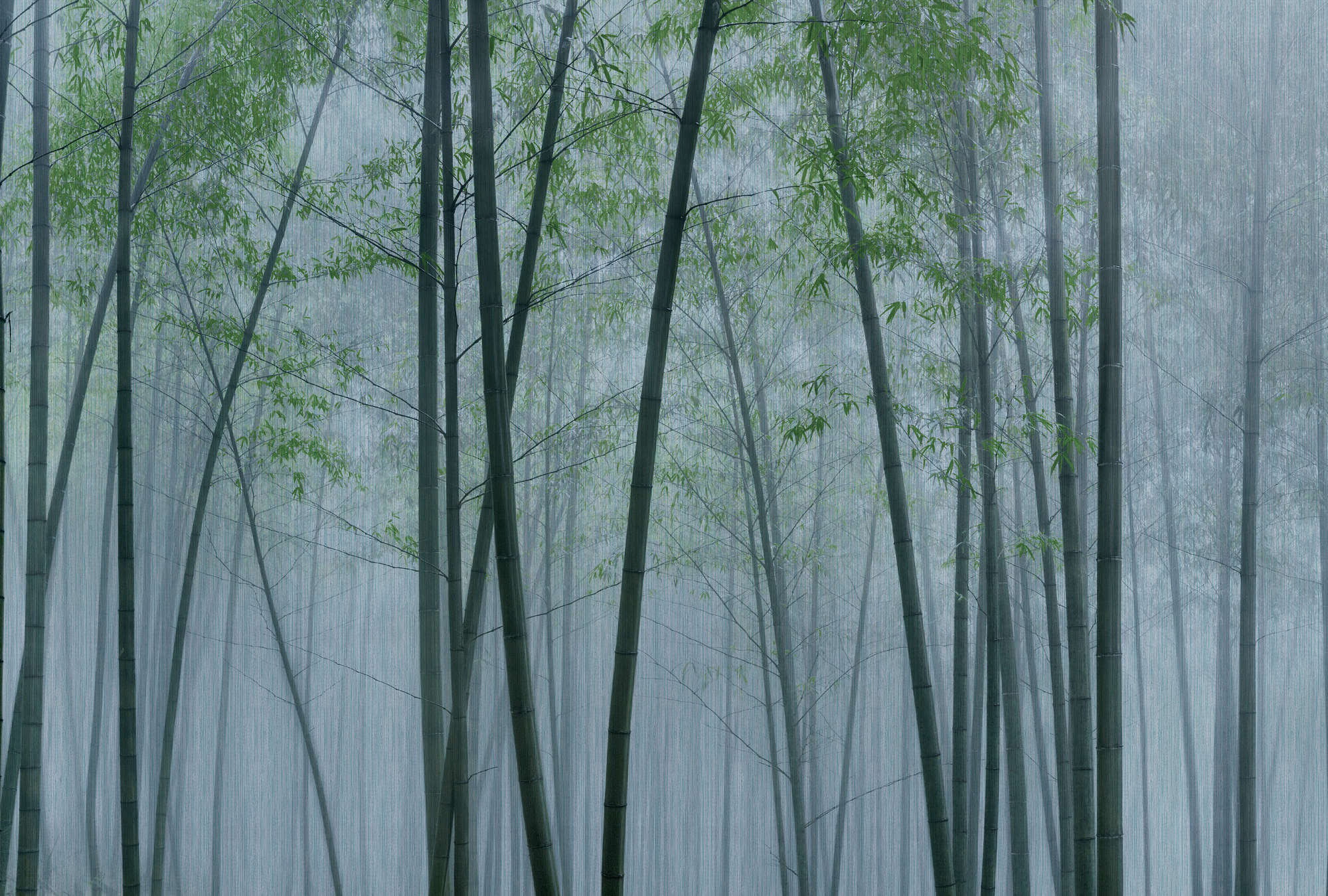 walls by patel Photo wallpaper Walls by Patel 3