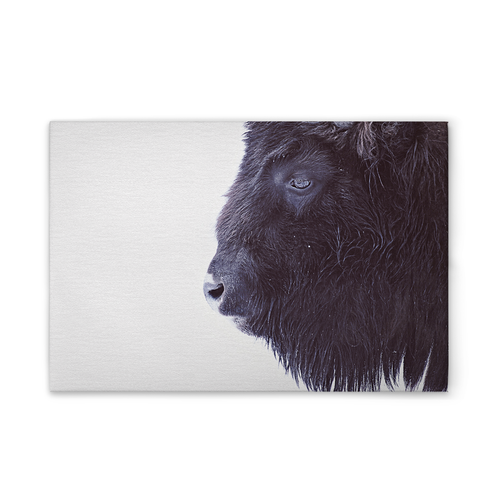 livingwalls tableau sur toile ARTist