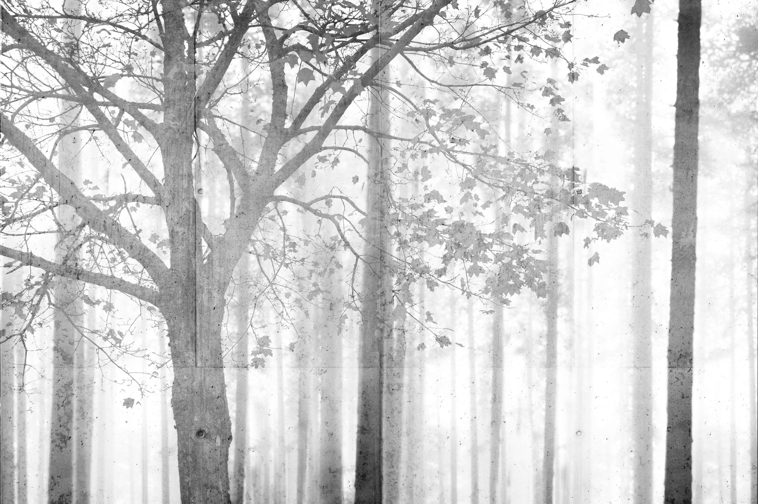 Architects Paper Fototapete Atelier 47 Architects Paper Fototapete Atelier 47