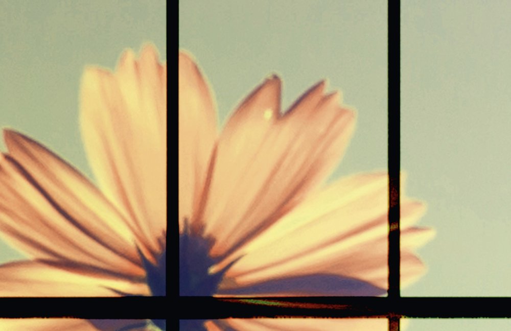 walls by patel Photo wallpaper Walls by Patel 2
