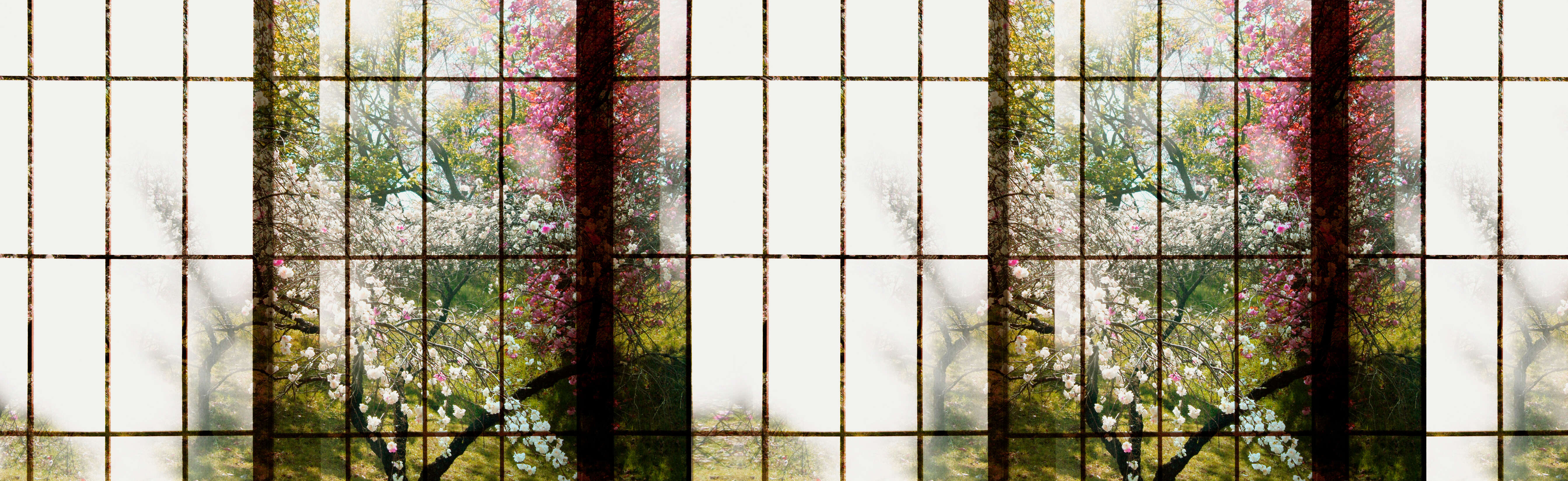walls by patel Photo wallpaper Walls by Patel 2