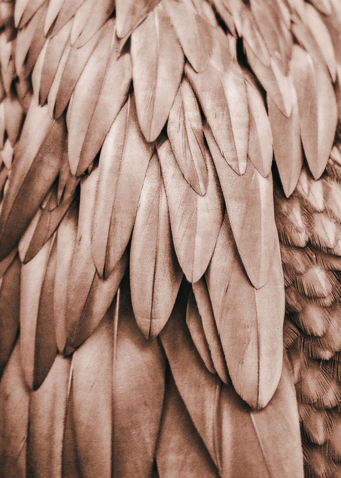 livingwalls Фотообои ARTist