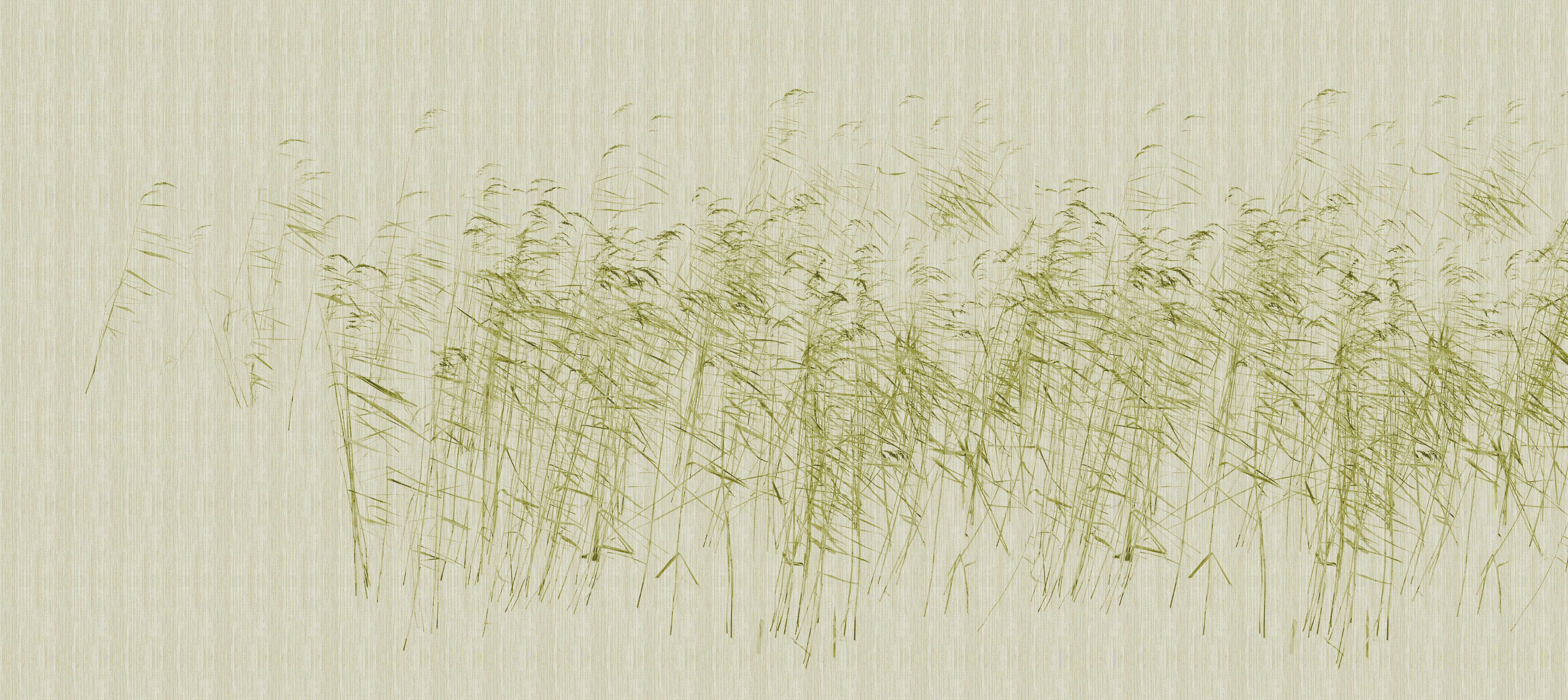 walls by patel Photo wallpaper Walls by Patel 3