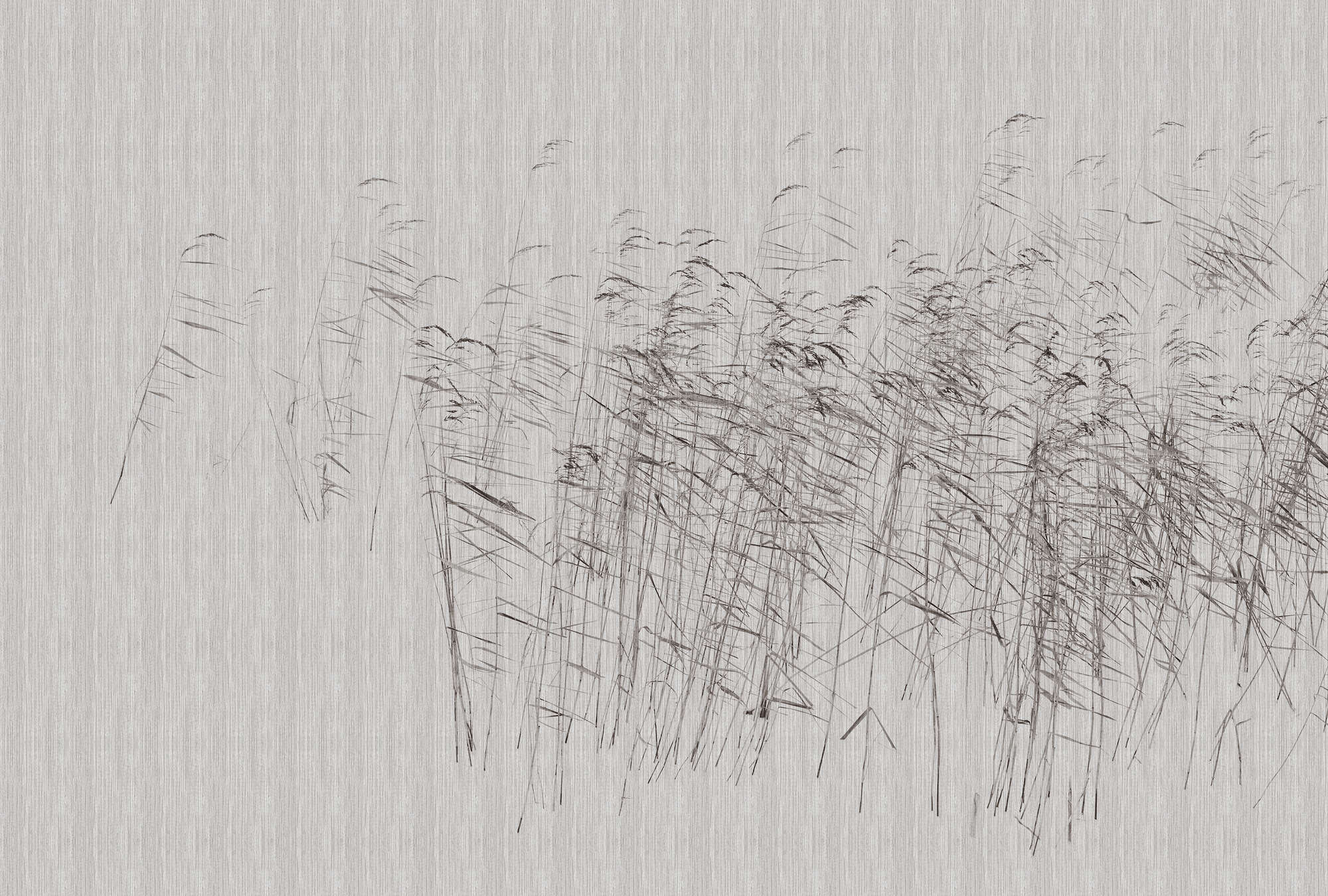 walls by patel Photo wallpaper Walls by Patel 3
