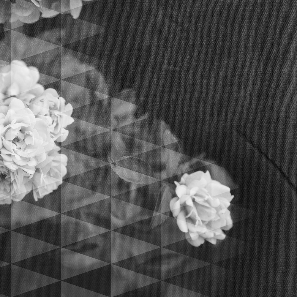 Architects Paper Фотообои AP Digital 4