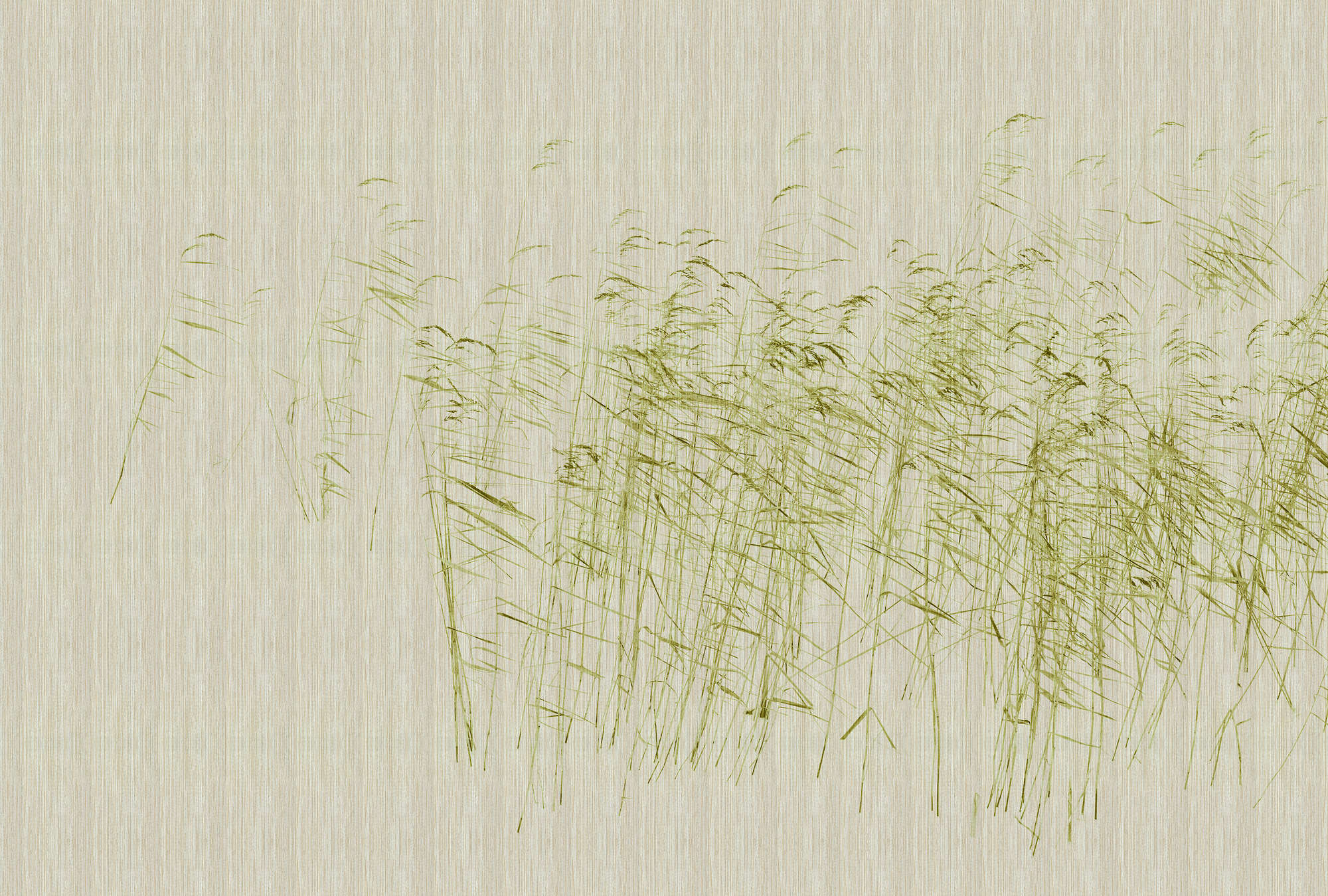 walls by patel Photo wallpaper Walls by Patel 3