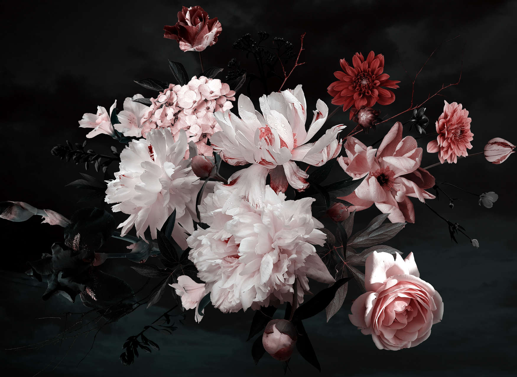 livingwalls Photo wallpaper Designwalls