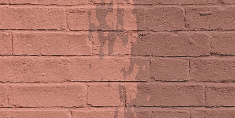 walls by patel Фотообои Walls by Patel 2
