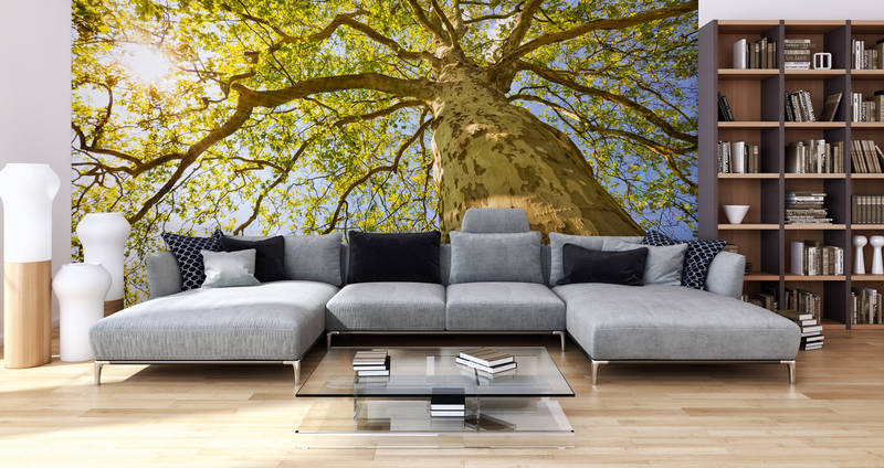 livingwalls impression numérique XXLwallpaper 2