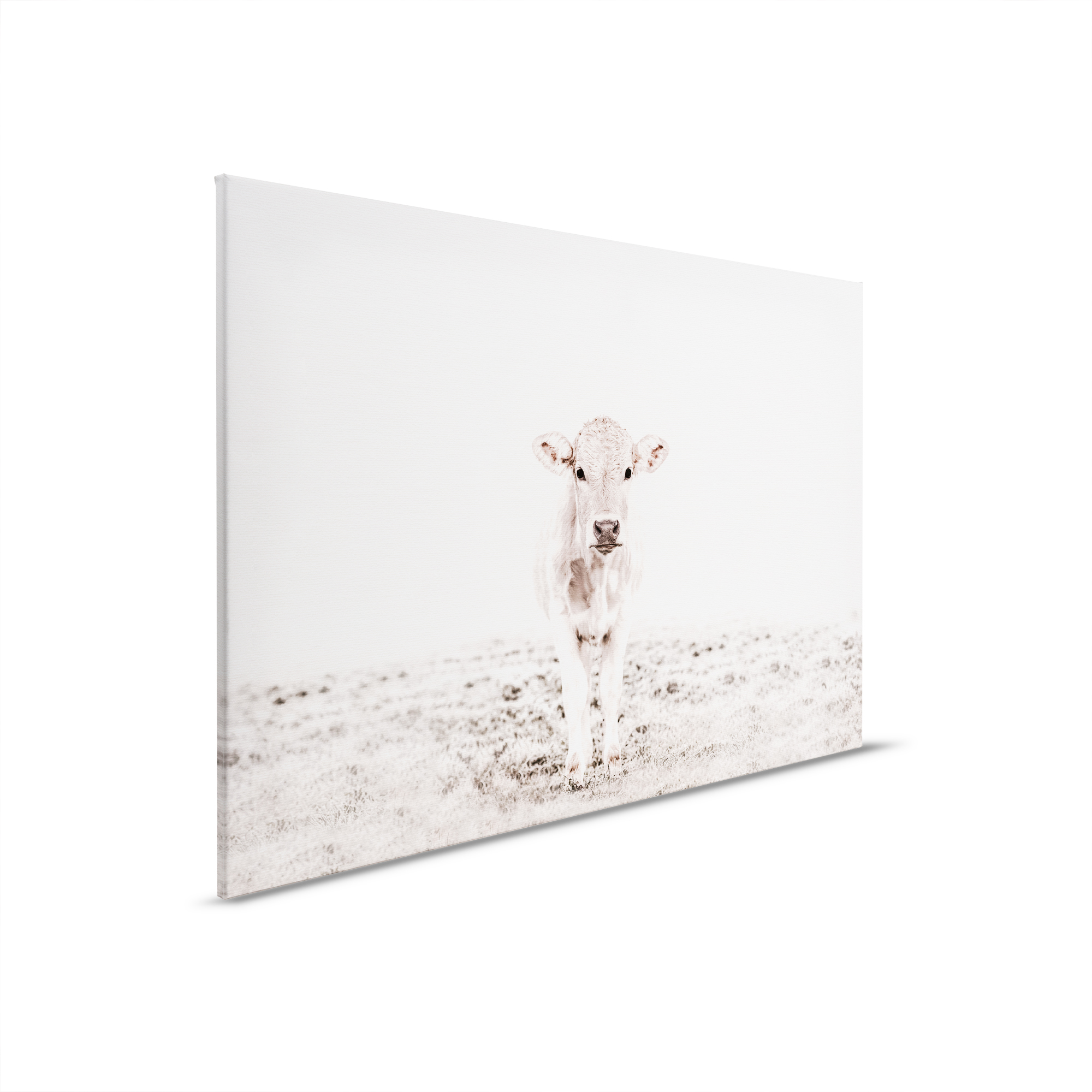 livingwalls tableau sur toile ARTist