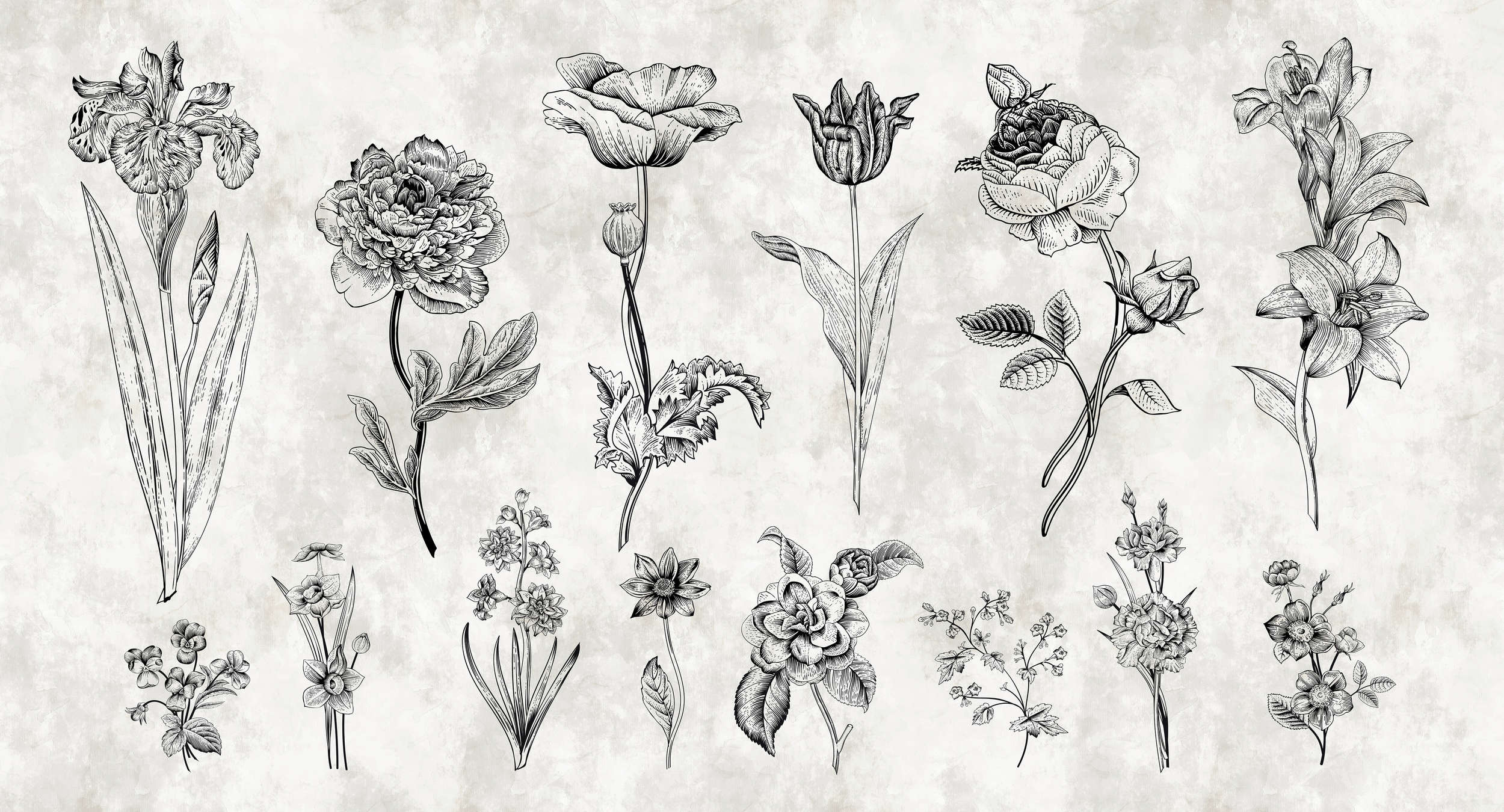 walls by patel Photo wallpaper Walls by Patel walls by patel Photo wallpaper Walls by Patel