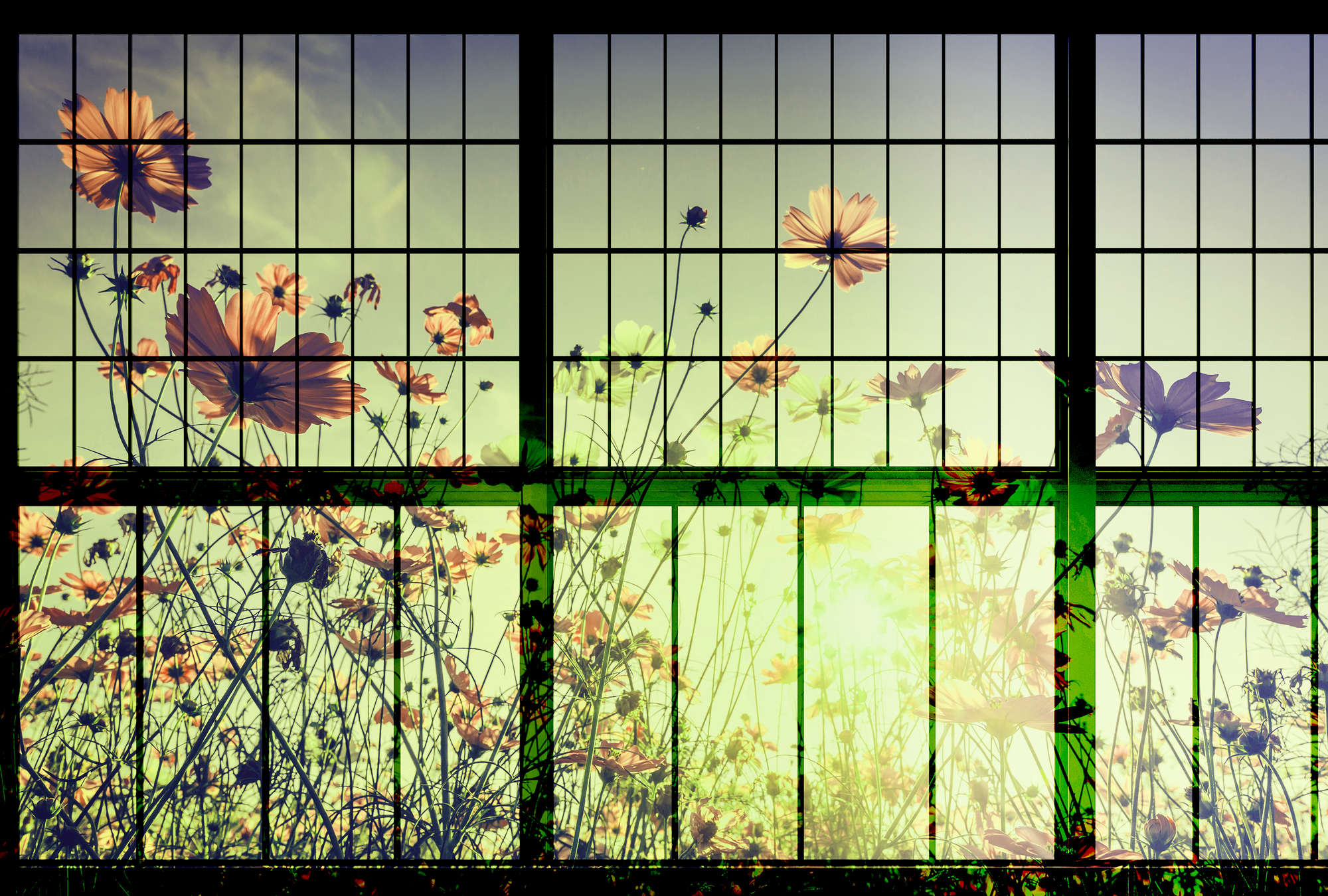 walls by patel Photo wallpaper Walls by Patel 2