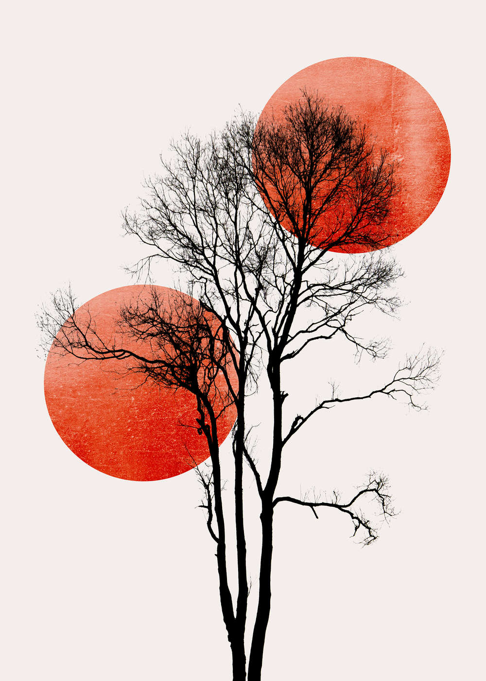 livingwalls Photo wallpaper ARTist livingwalls Photo wallpaper ARTist