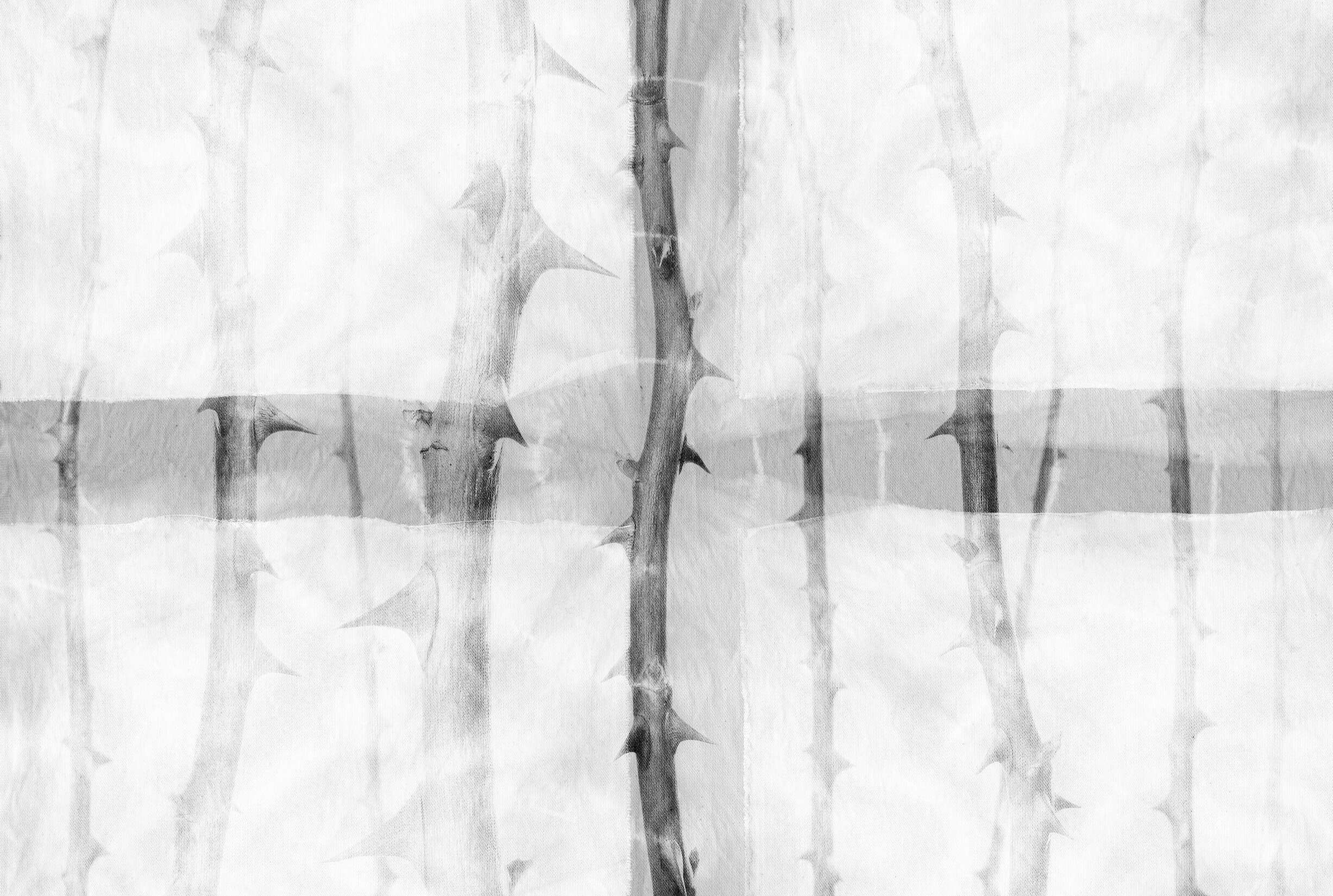 Architects Paper Fototapete Atelier 47 Architects Paper Fototapete Atelier 47