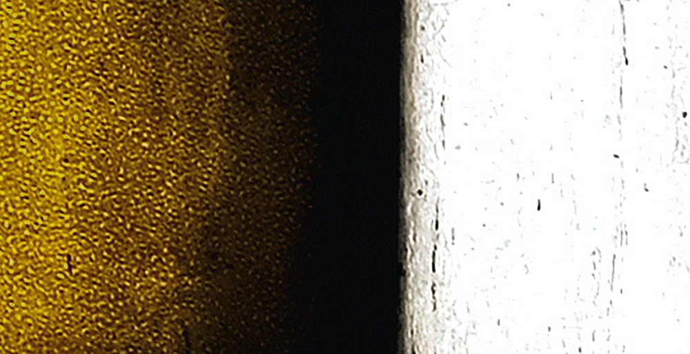 walls by patel impression numérique Walls by Patel 2