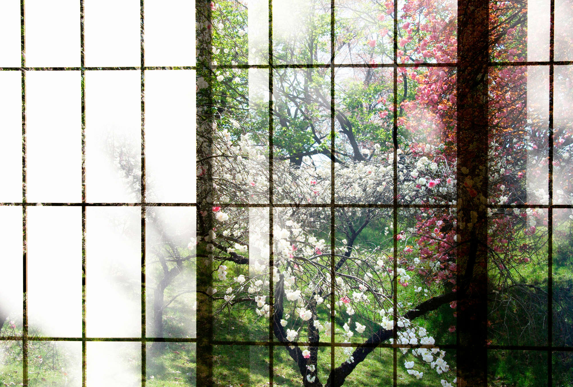 walls by patel Photo wallpaper Walls by Patel 2