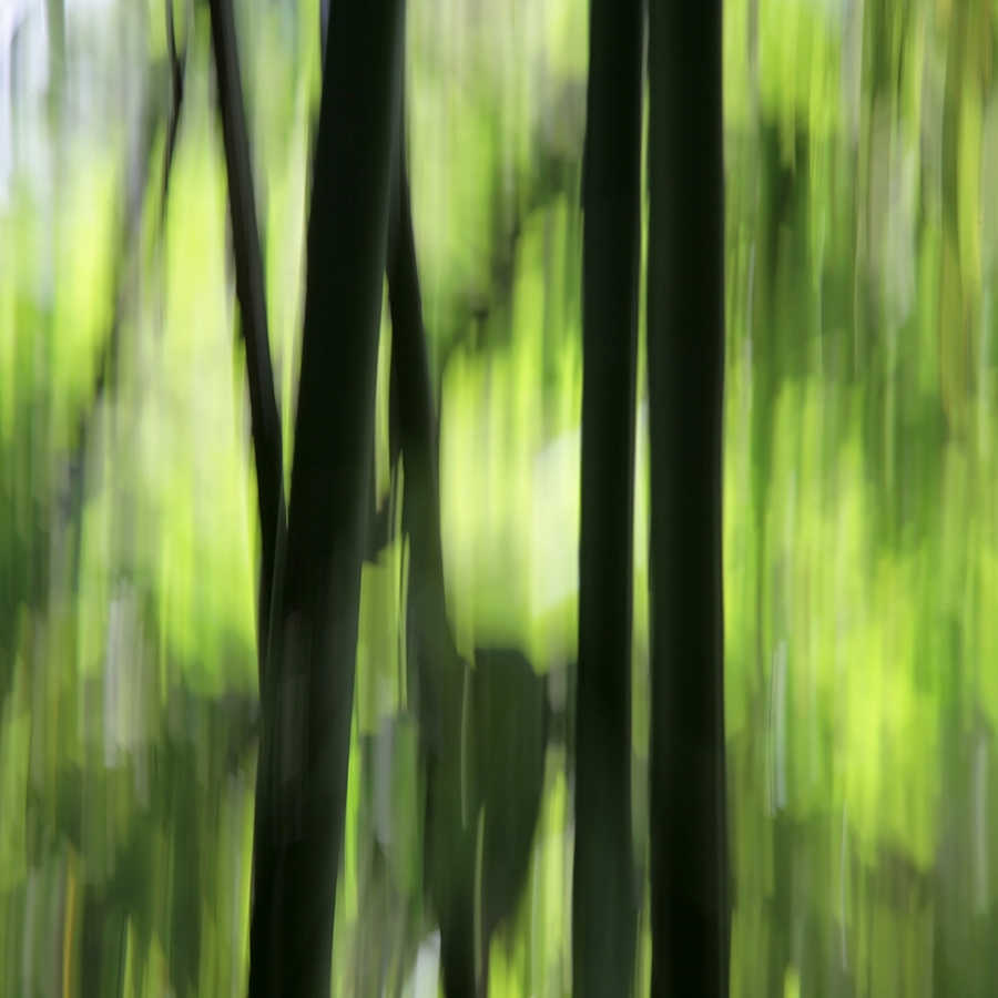 livingwalls impression numérique Nature