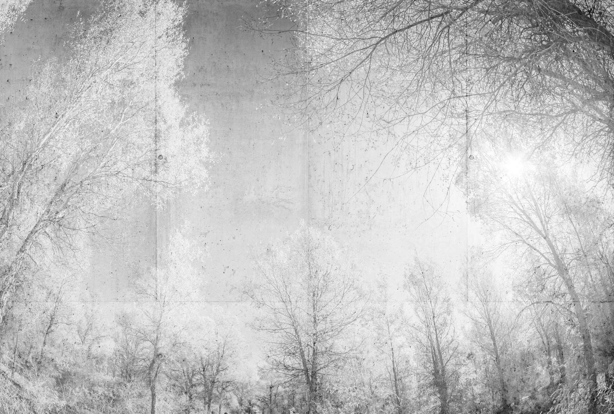 Architects Paper Fototapete Atelier 47 Architects Paper Fototapete Atelier 47