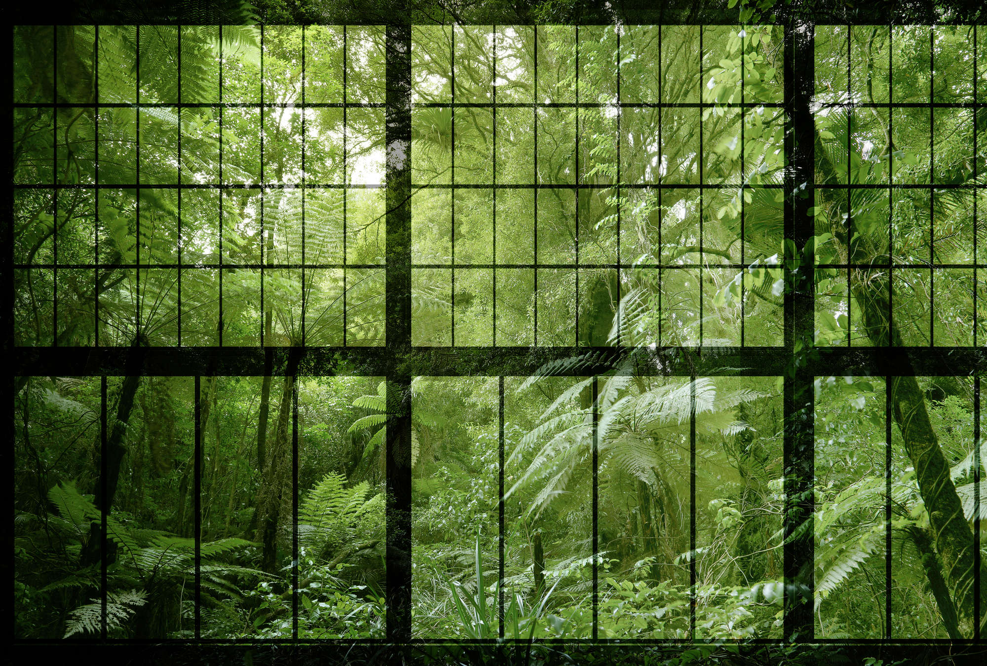 walls by patel Photo wallpaper Walls by Patel 2