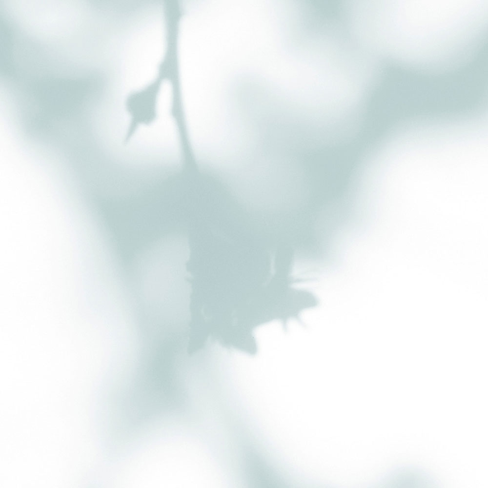 walls by patel Photo wallpaper Walls by Patel 3