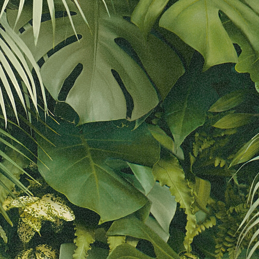 livingwalls Обои Styleguide Jung 2024