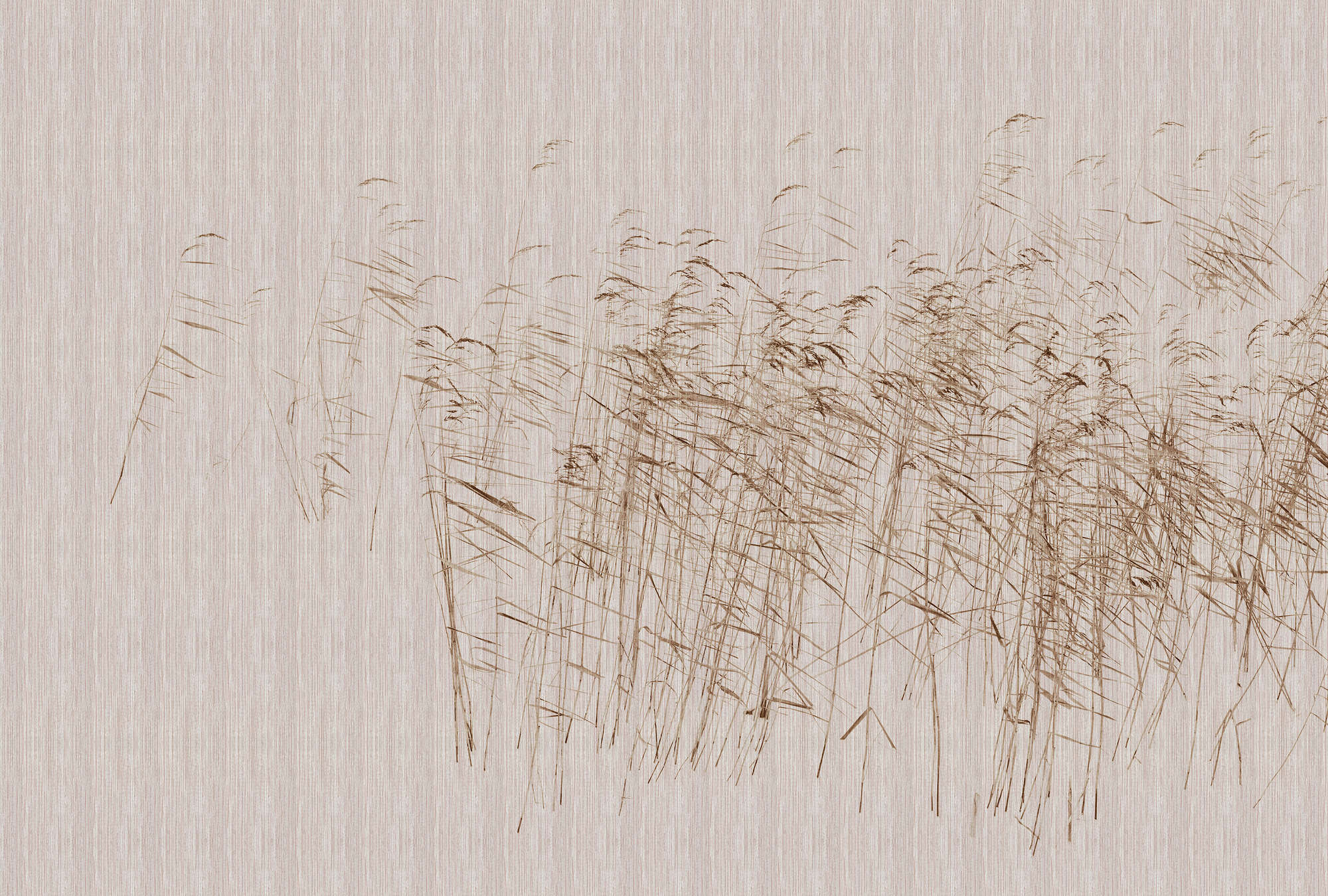 walls by patel Photo wallpaper Walls by Patel 3