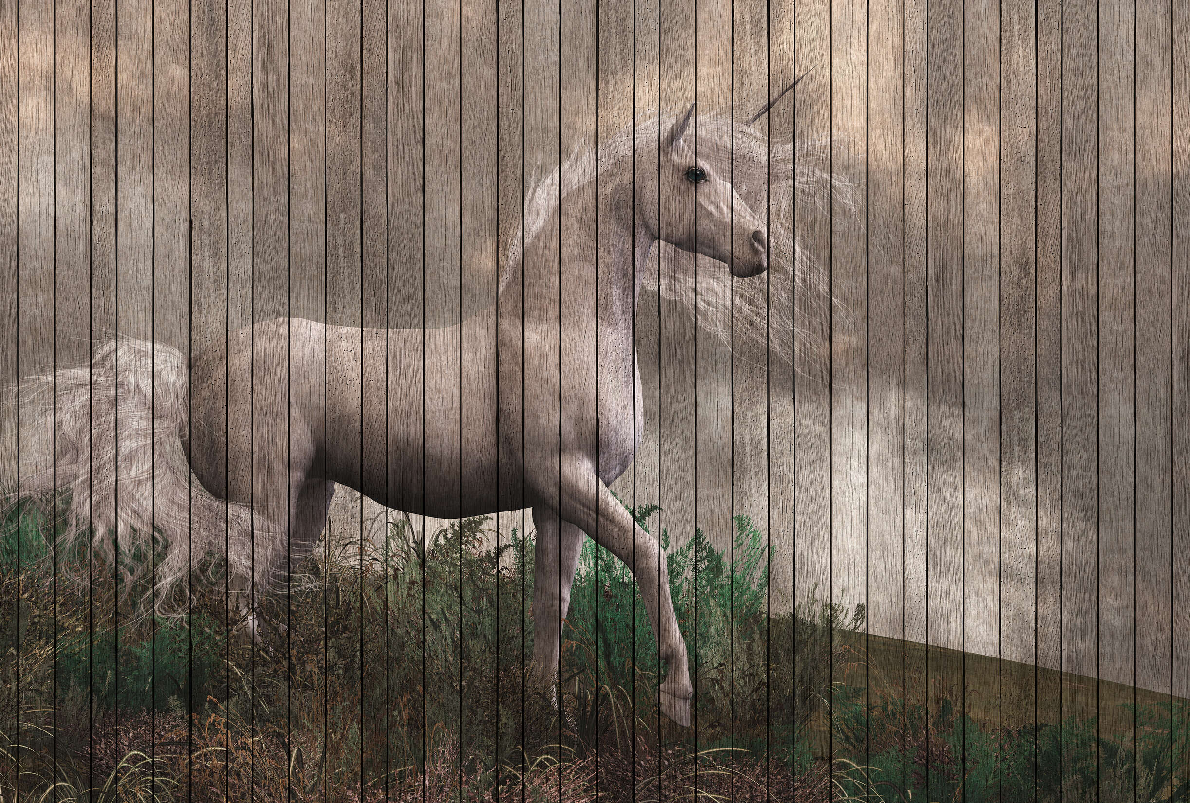 walls by patel Photo wallpaper Walls by Patel 2