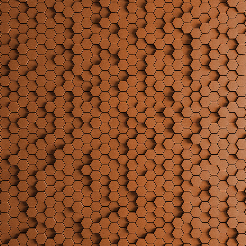 walls by patel Фотообои Walls by Patel 2