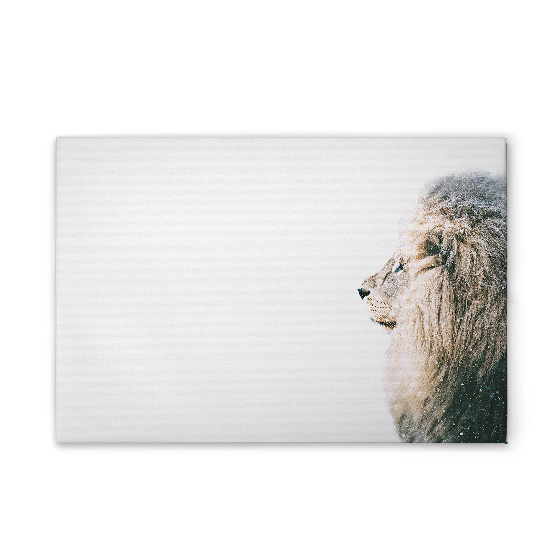 livingwalls tableau sur toile ARTist